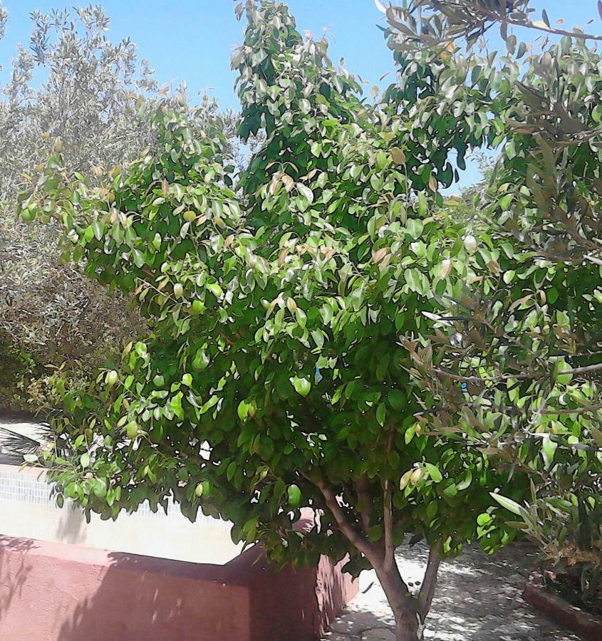 Villa Baglio Del Sole San Vito Lo Capo Exterior foto